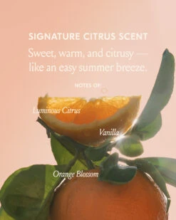 Freshly Squeezed Wash Dae Set -Cheap Components Store 04 c2b101f6 88c2 401e a0dd 17b7976e64a6