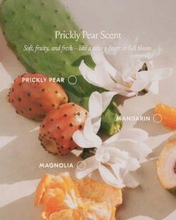 Prickly Pear Hair Oil - Full-Size -Cheap Components Store 07