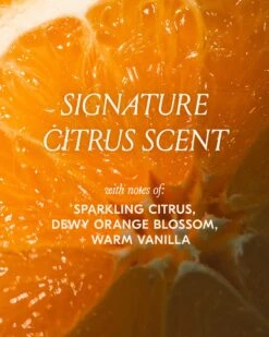 Sunsetter Hairspray -Cheap Components Store 25 SunsetterHairspray DTC PDPimages Scent