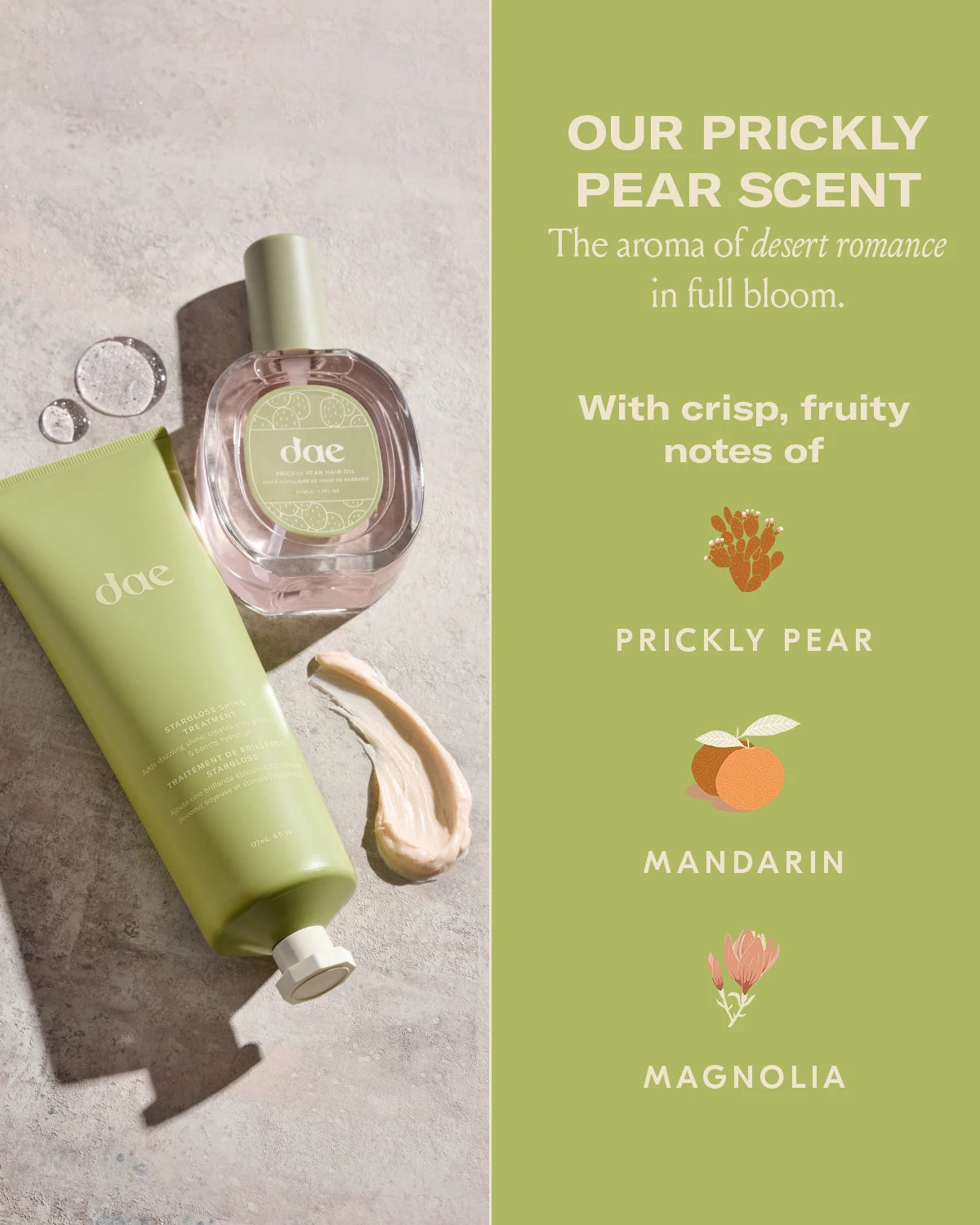 Stargloss Shine Treatment 7 Stargloss Shine Treatment - Image 7