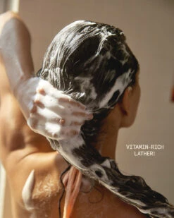 Wanderluster Travel Duo -Cheap Components Store Wanderluster 09