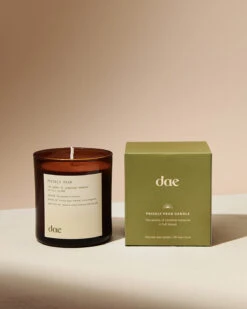 Prickly Pear Candle 4 Prickly Pear Candle -Cheap Components Store dae pricklypearcandle 3