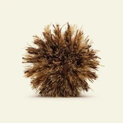 La Brosse Naturelle à Vaisselle -Cheap Components Store la brosse naturelle a vaisselle 876080